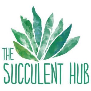 The Succulent Hub
